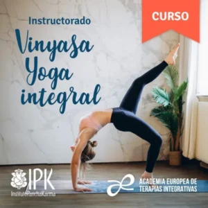 Vinyasa Yoga Integral